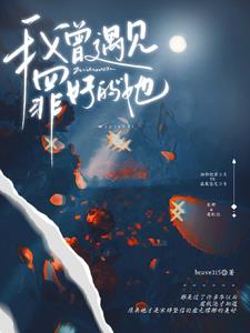 我曾遇见那男孩小说